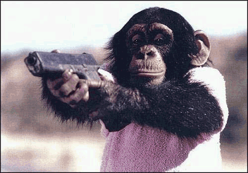 chimpanzee-glock.gif