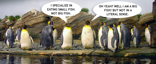 penguins_talking.jpg